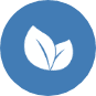 leaf icon