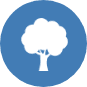 tree icon