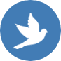 dove icon