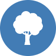 growth icon