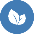 leaves icon
